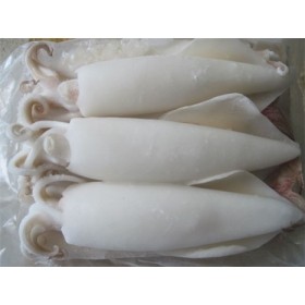 CALAMARI PULITI PACIFICO U5 BLOC KG.1.4